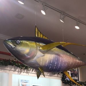 Meet your Posher, Adan